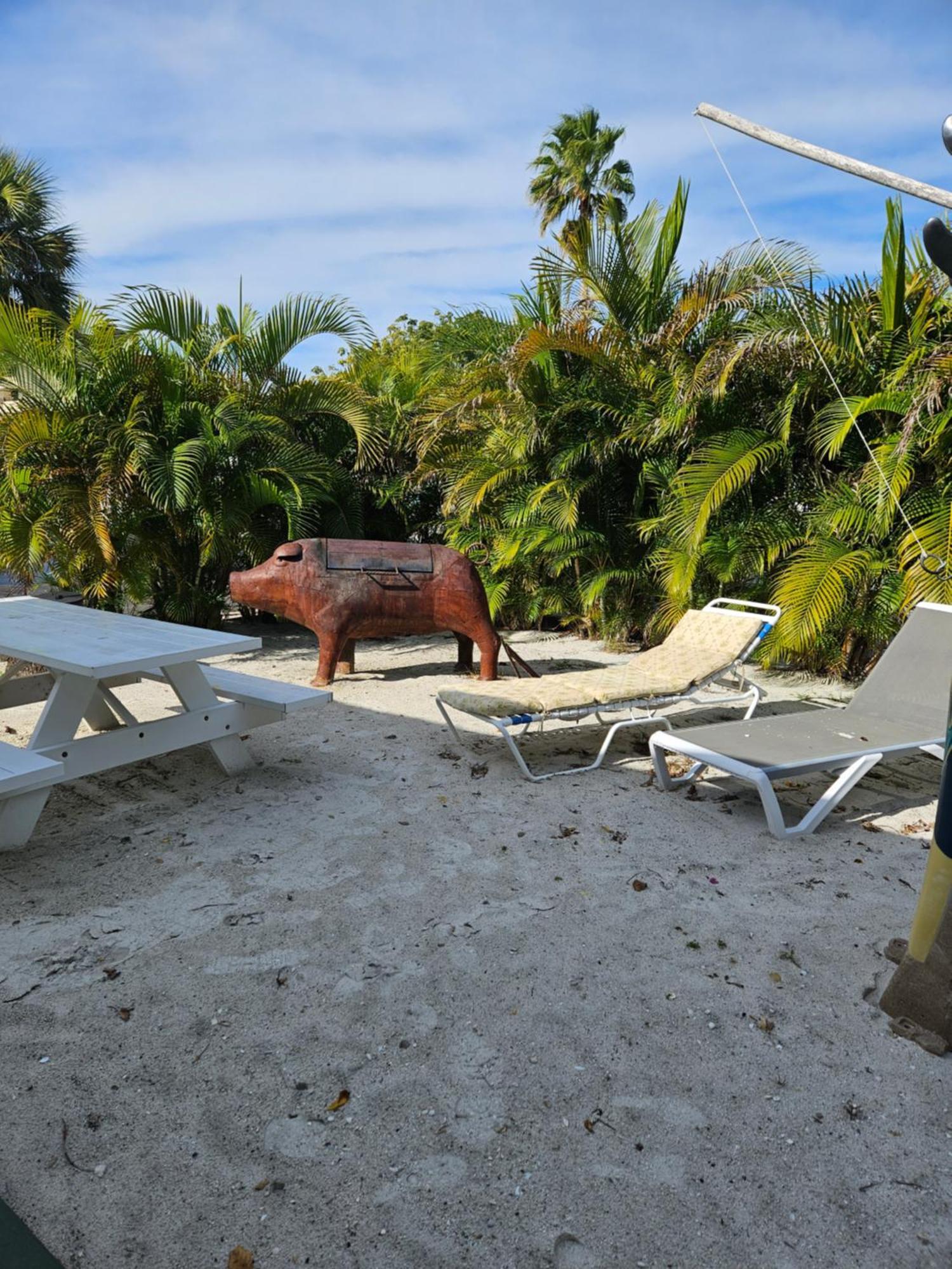 Oasis Palms Resort St. Pete Beach Eksteriør billede